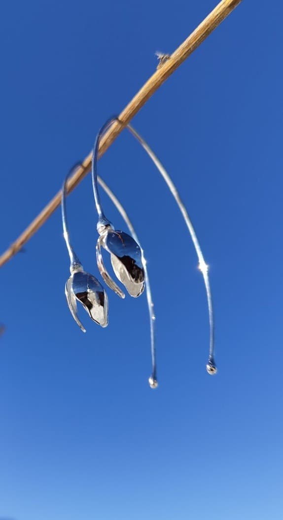 Schneeglöckchen