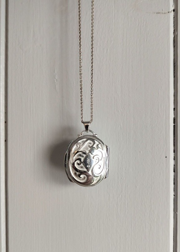 Den hemmelige hagen medaljong - Bilde 7