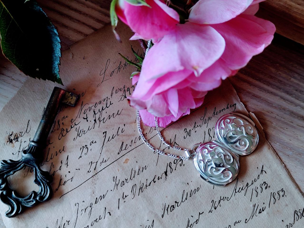 Den hemmelige hagen medaljong - Bilde 10