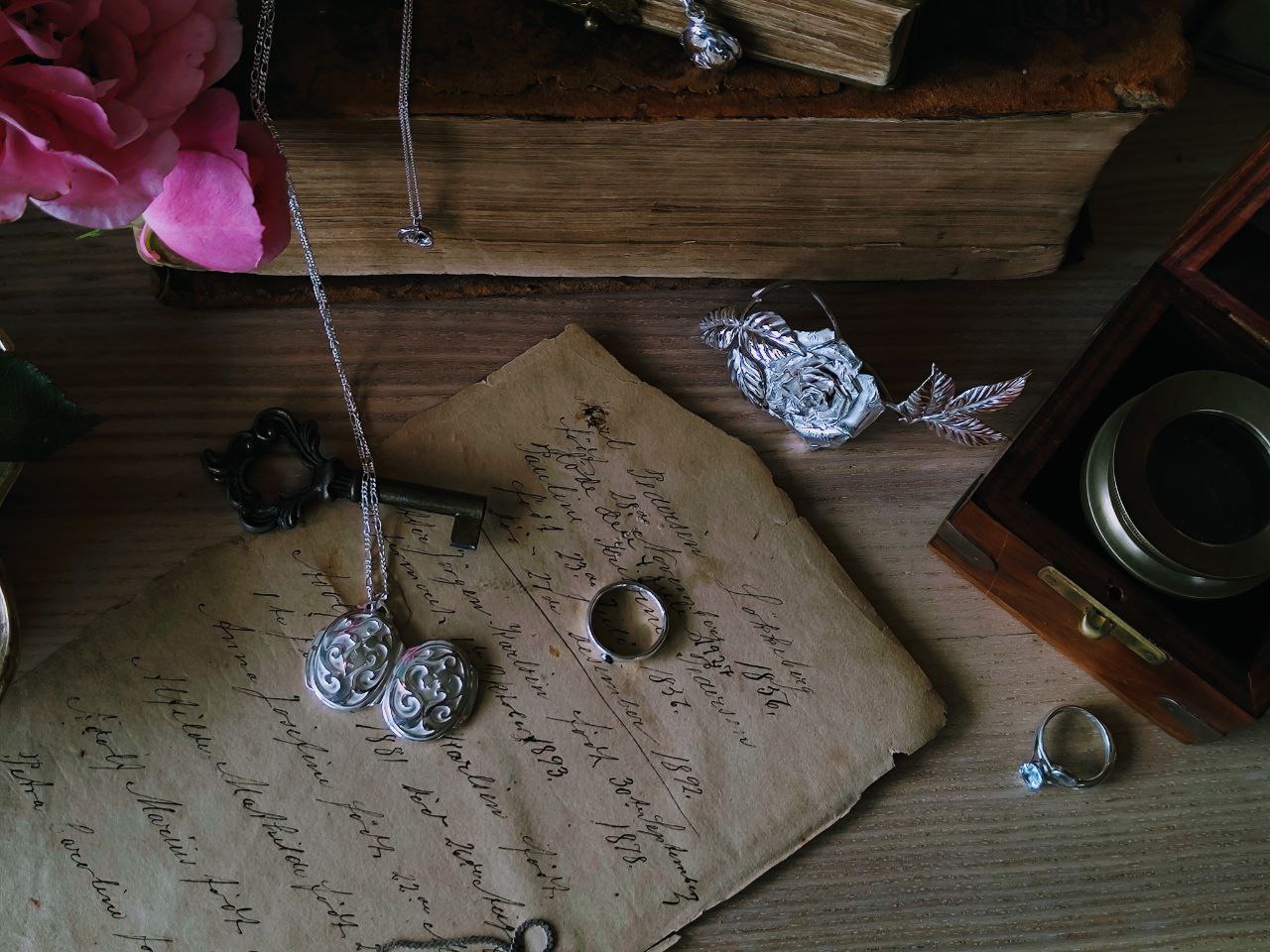 Den hemmelige hagen medaljong - Bilde 11